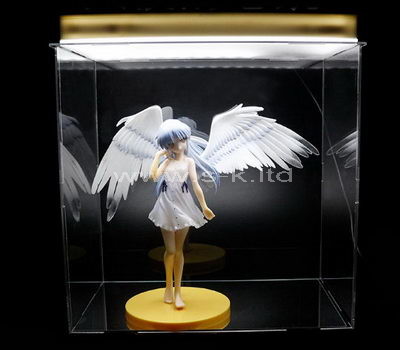 figure display case