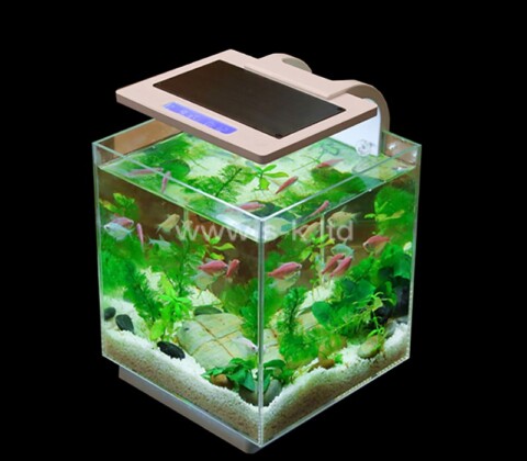 Custom acrylic mini fish tank with LED light
