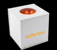 Custom acrylic lotteries raffles box