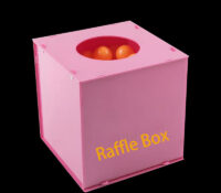 Custom acrylic company raffles box
